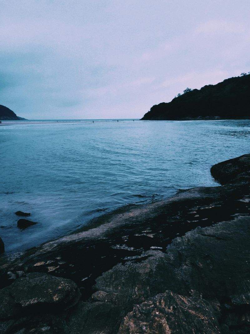 Pawfect Care Solutions - Image 1