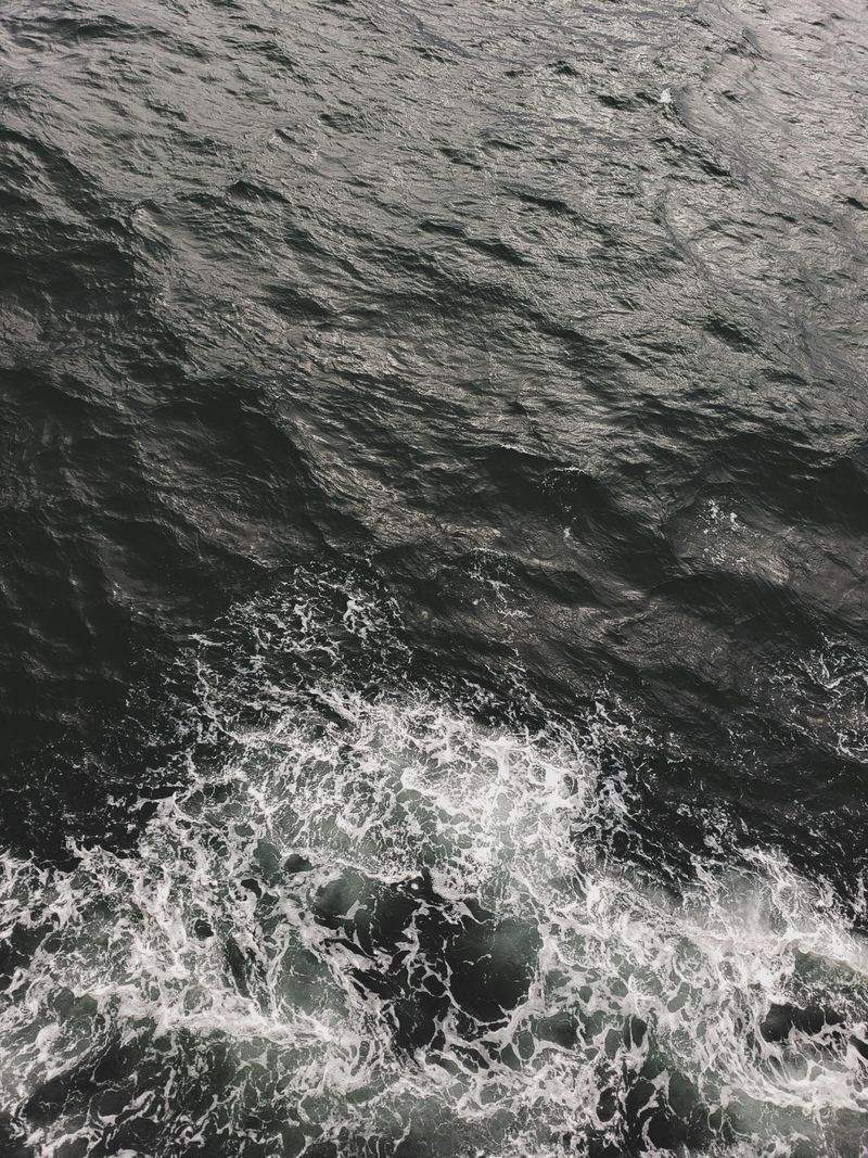 Pawfect Care Solutions - Image 10