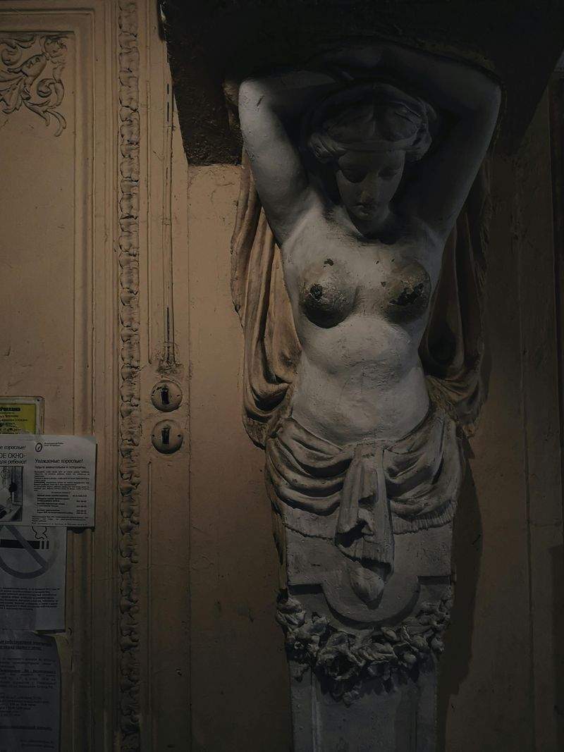 Pawfect Care Solutions - Image 2